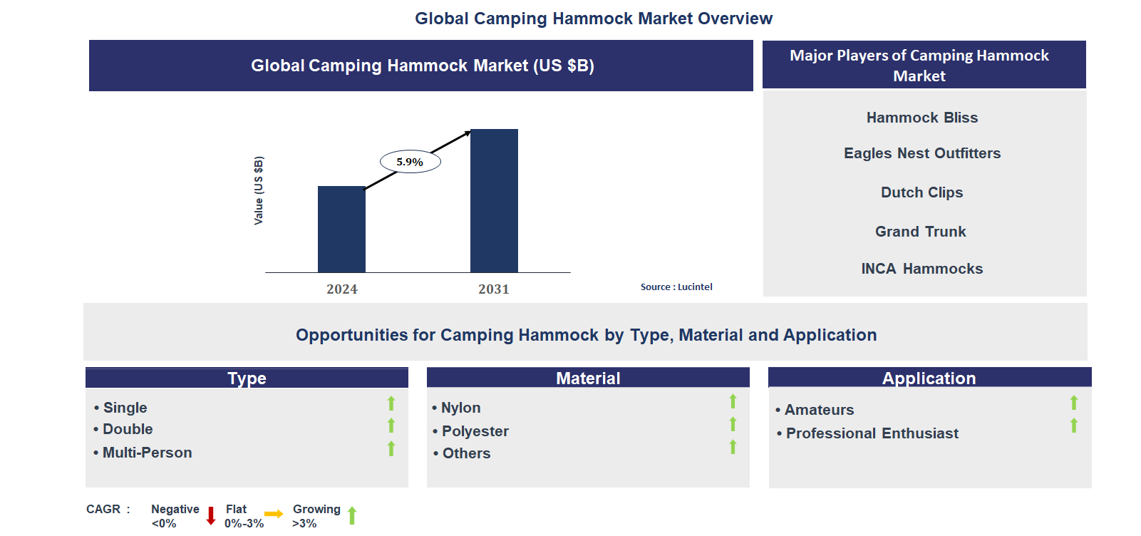 Camping Hammock Market Trends and Forecast